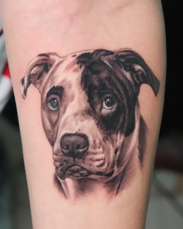 dog g